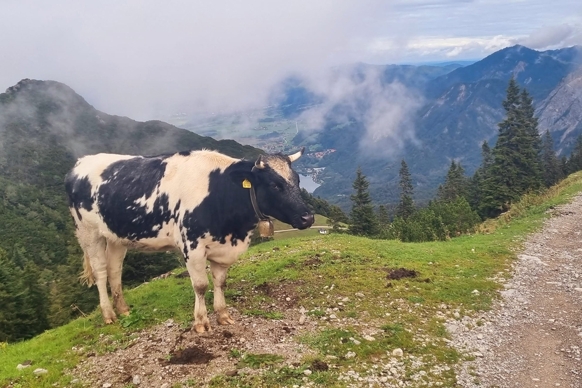 News DreitÀgiger Praxisausflug